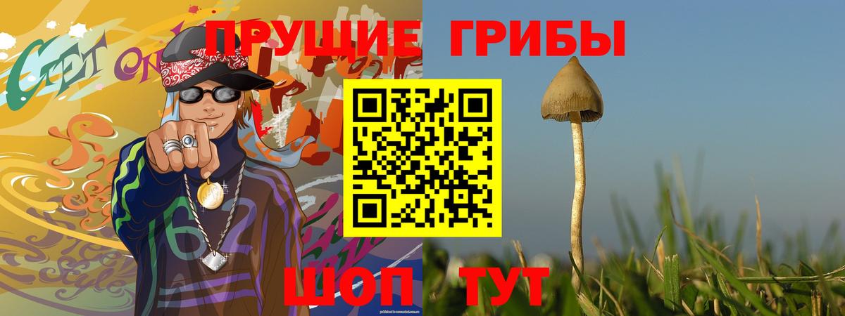 Псилоцибиновые грибы мухоморы  Псилоцибиновые грибы MAGIC MUSHROOMS  Вход с VPN  Верхняя Салда 